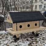 Patru noi căsuțe pentru pisici