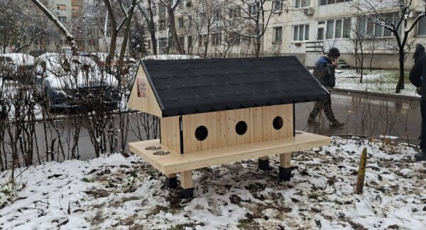 Patru noi căsuțe pentru pisici