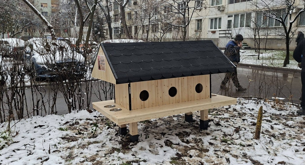 Patru noi căsuțe pentru pisici