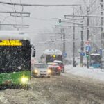 STB operatorii de salubrizare