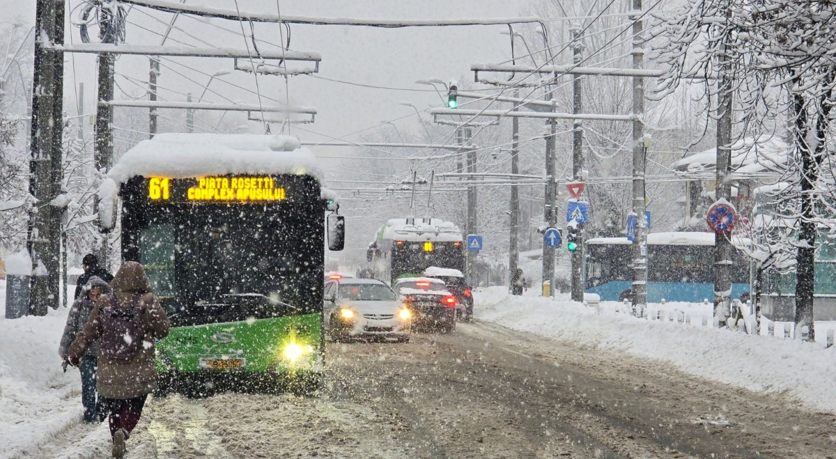 STB operatorii de salubrizare