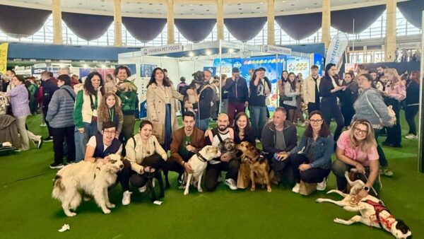 ASPA | Următorul târg de adopții are loc în cadrul evenimentului PetExpo