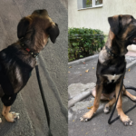 REPORTAJ | Am întâlnit un om rău în autobuz