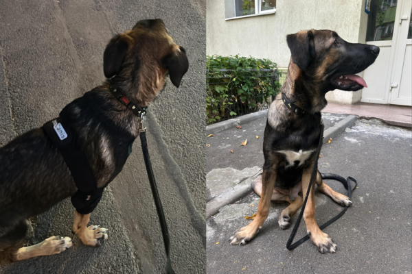 REPORTAJ | Am întâlnit un om rău în autobuz