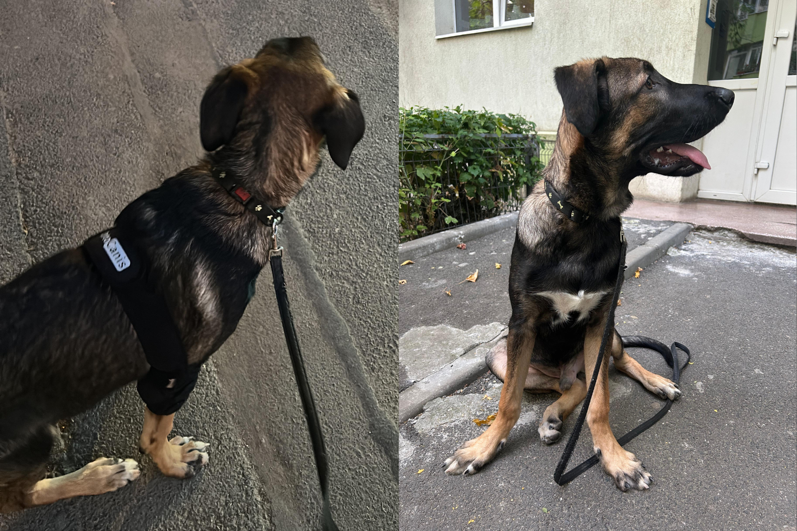 REPORTAJ | Am întâlnit un om rău în autobuz