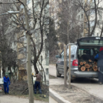 De ce se taie copaci pe Bulevardul Basarabia. Explicațiile Primăriei Sectorului 2