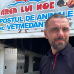 „Lagărul” lui Noe | Peste 600 de mii de euro pentru „măcelărirea” câinilor fără stăpân, din banii ilfovenilor. Foto: vetmedan.ro / Daniel Lazăr, Facebook