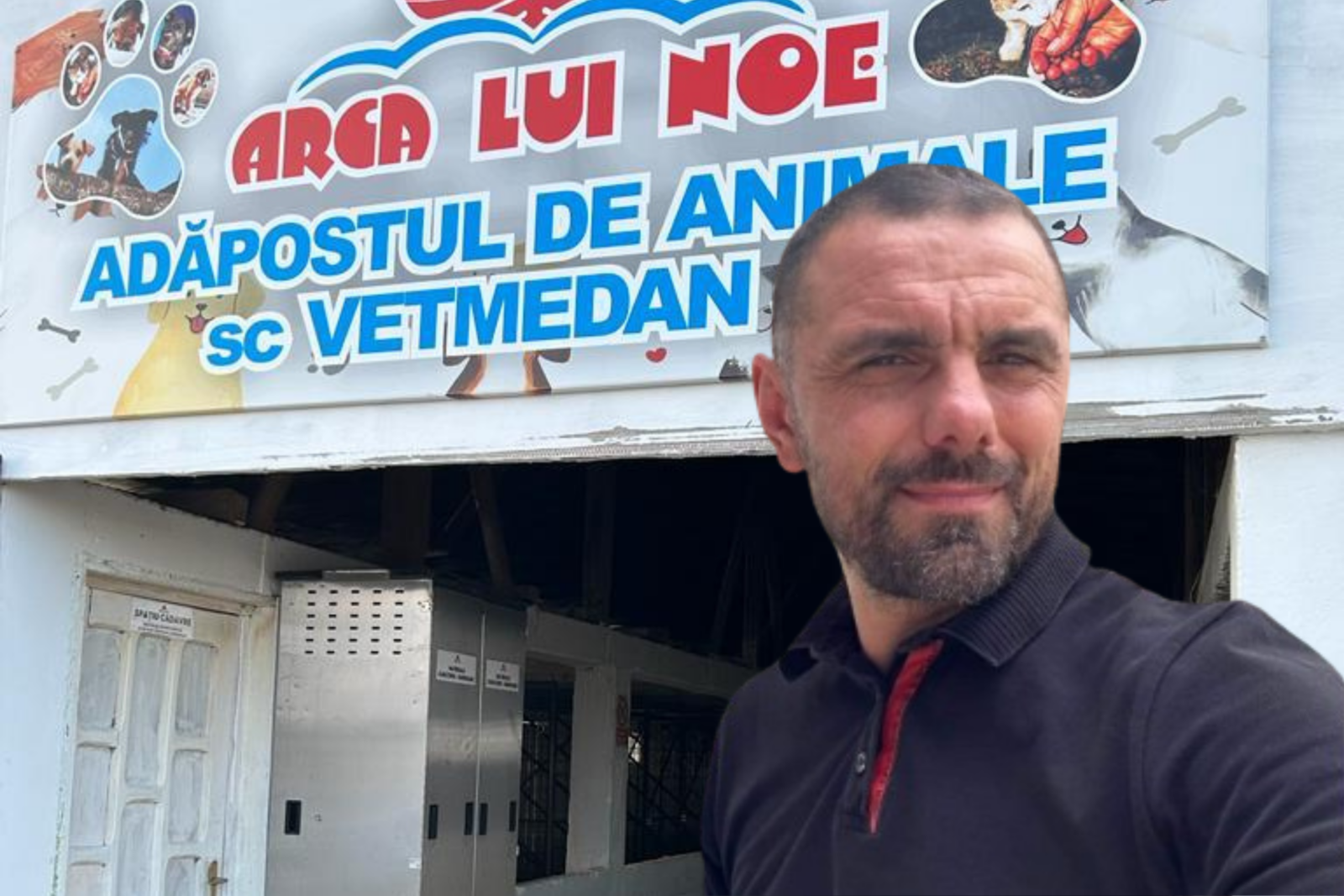 „Lagărul” lui Noe | Peste 600 de mii de euro pentru „măcelărirea” câinilor fără stăpân, din banii ilfovenilor. Foto: vetmedan.ro / Daniel Lazăr, Facebook