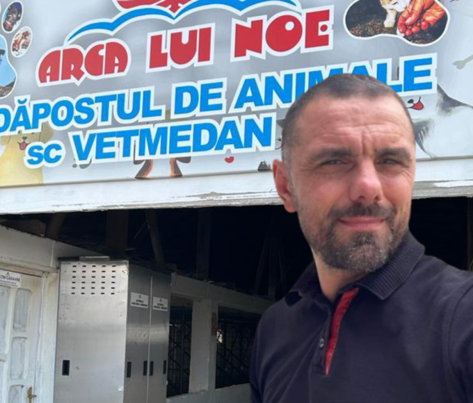 „Lagărul” lui Noe | Peste 600 de mii de euro pentru „măcelărirea” câinilor fără stăpân, din banii ilfovenilor. Foto: vetmedan.ro / Daniel Lazăr, Facebook