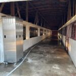 Primăria Grădiștea confirmă „iadul câinilor” de la Vrancea