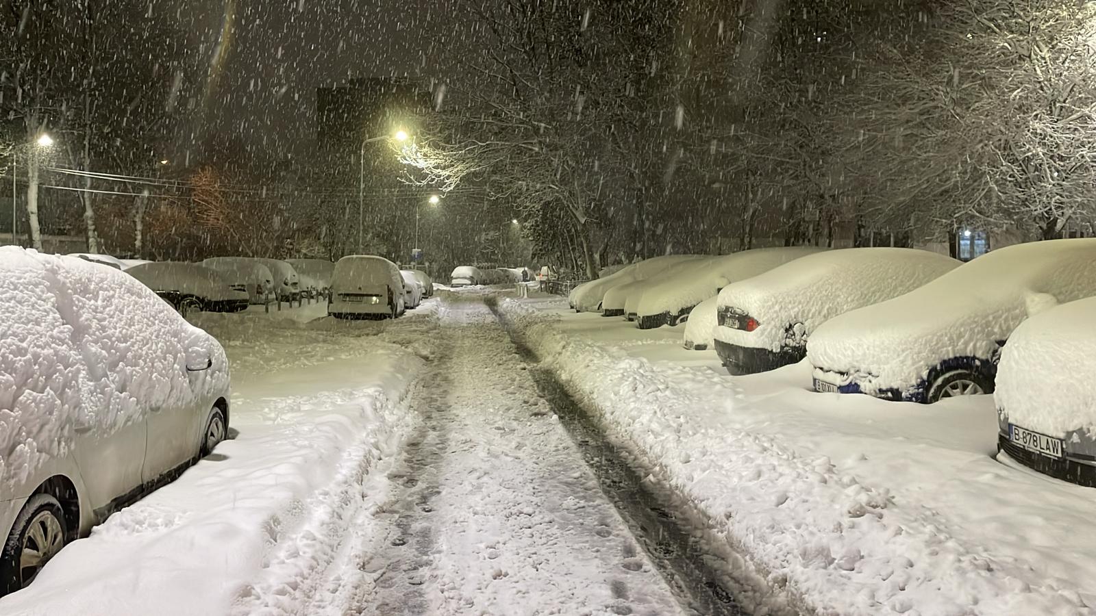 Zăpada a blocat Aeroportul Otopeni și a doborât copaci peste 40 de mașini în Capitală