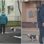 Amenzi de peste 10.000 de lei, date de Poliția Locală Sector 3 bucureștenilor care nu strâng după câinii lor.