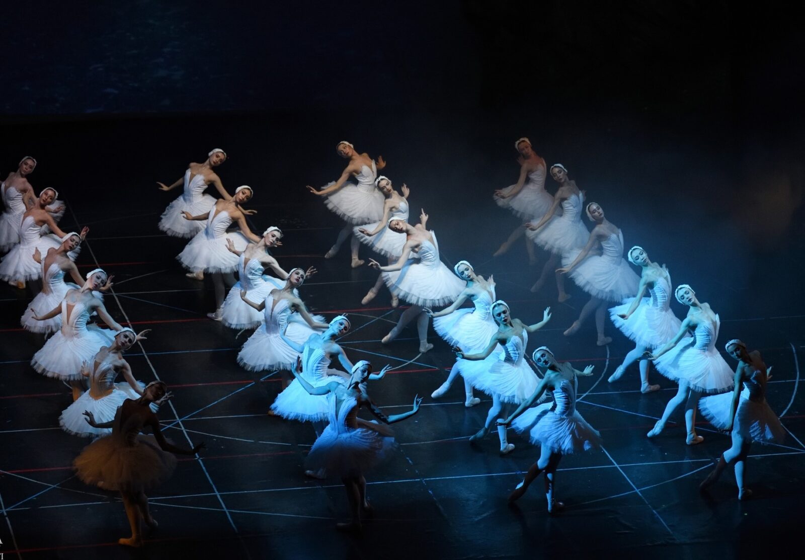 „Lacul Lebedelor”, spectacol inedit, în Parcul Herăstrău. FOTO: Arhiva