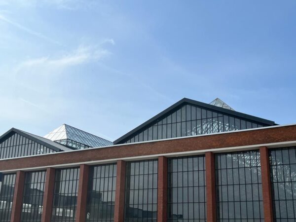 Curățenia în Hala Laminor costă aproape 1 milion de euro