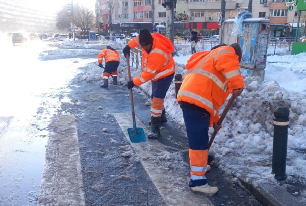 societate comercială a Primăriei