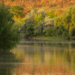 Explorare vizuală pe traseul Dâmboviței. Atelier foto în natură, gratuit