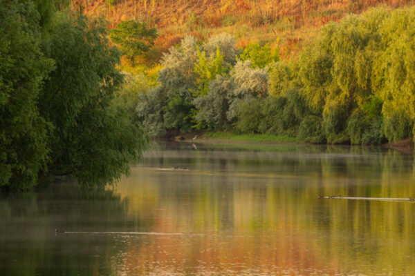 Explorare vizuală pe traseul Dâmboviței. Atelier foto în natură, gratuit