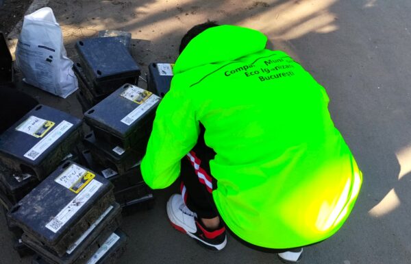 Au început tratamentele de deratizare în Capitală. FOTO: Compania Eco Igienizare