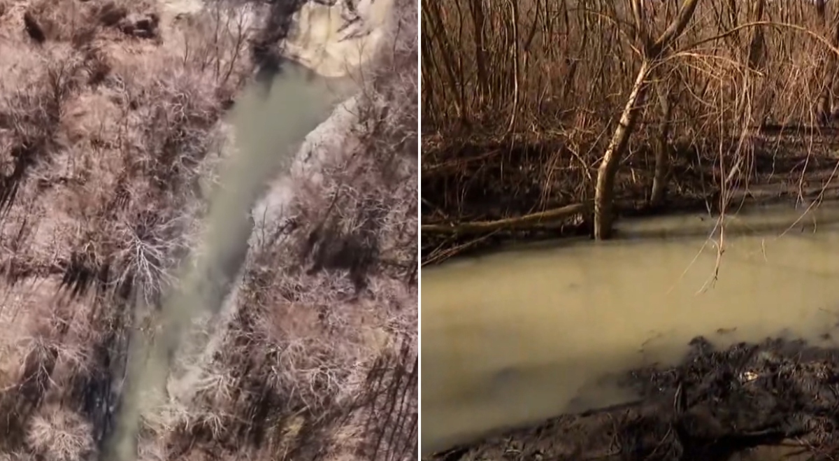 Apa poluată râul Argeș