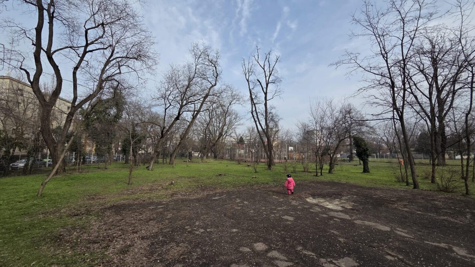 Baza Sportivă Cireșarii ar putea fi reîmpădurită. Proiect de parteneriat, pentru obținerea unui grant de 15.000 de euro