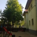 Contract de 55 de milioane de euro DGASPC Sector 1