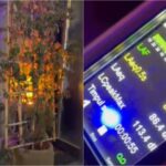 Poliția Locală a făcut controale privind nivelul de zgomot în Centrul Vechi. Localurile riscă amenzi de până la 60.000 de lei