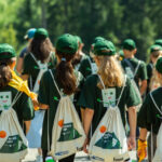 deșeurile electrice de mici dimensiuni