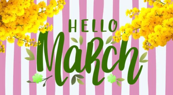 Hello March târg de cadouri