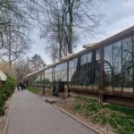 Culisele luptei pentru Parcul Herăstrău. 95% dintre proiectele de desființare a construcțiilor ilegale au rămas în sertarele PMB. Foto; Spotmedia