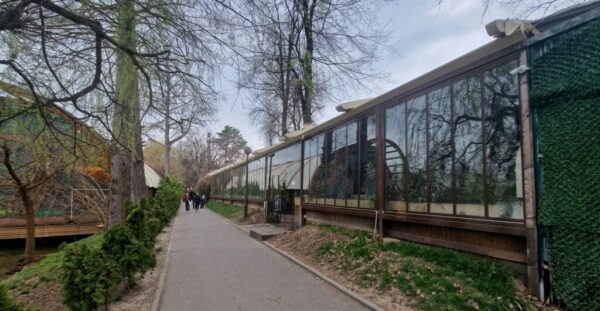 Culisele luptei pentru Parcul Herăstrău. 95% dintre proiectele de desființare a construcțiilor ilegale au rămas în sertarele PMB. Foto; Spotmedia