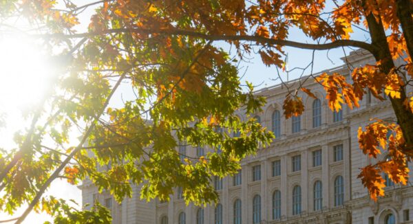 Rețea de refugii anti-caniculă București