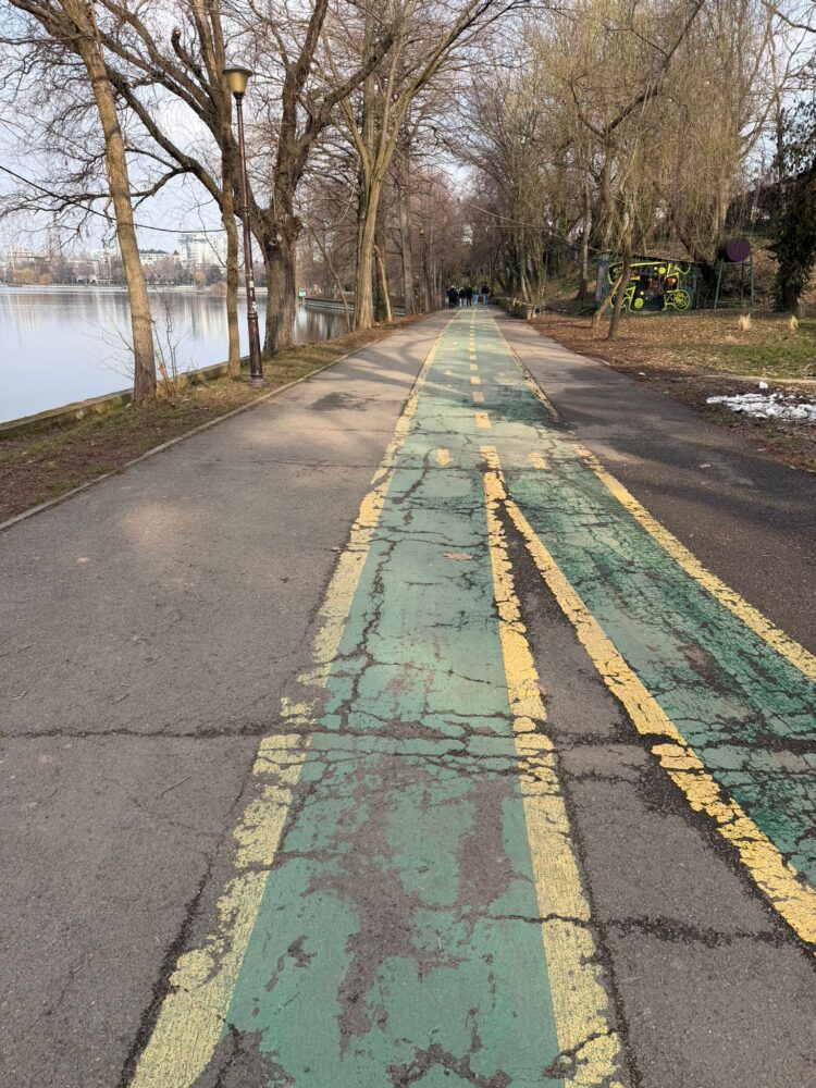 Parcul Regele Mihai I