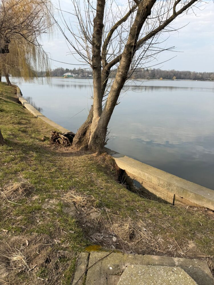 Parcul Regele Mihai I