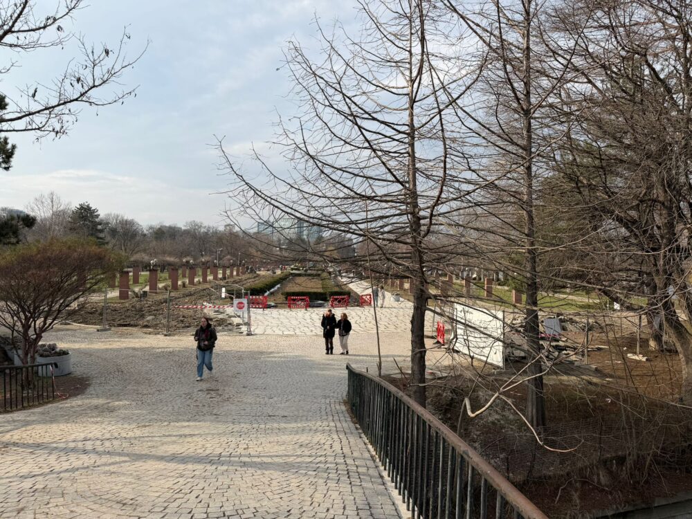 Parcul Regele Mihai I