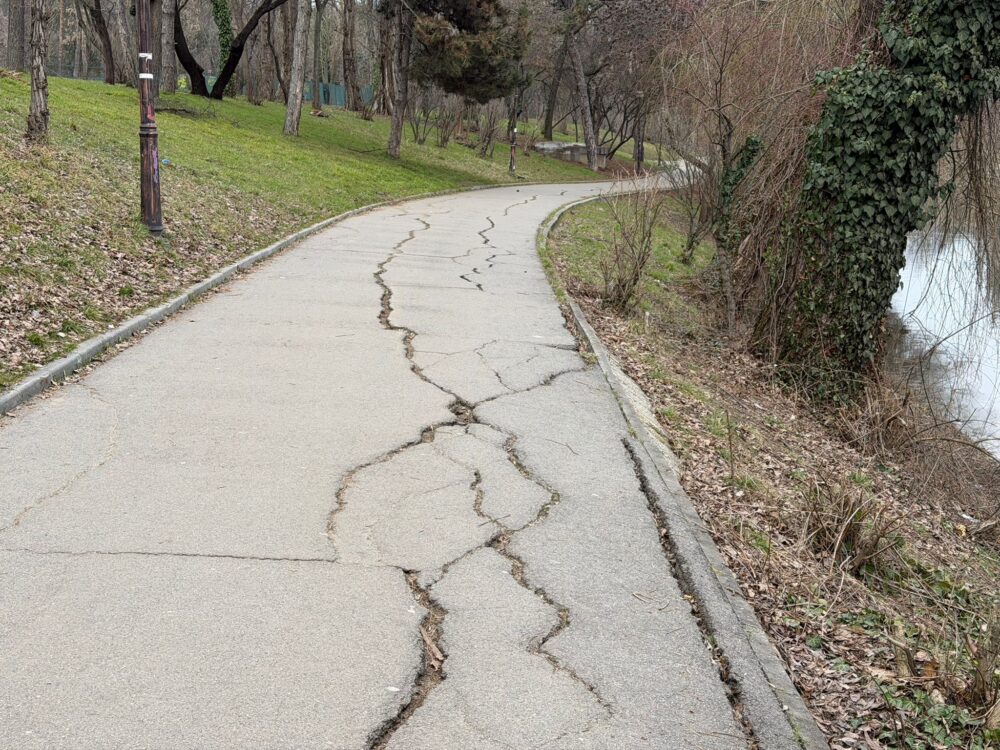 Parcul Regele Mihai I