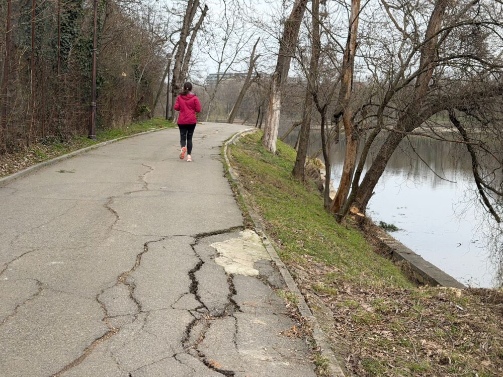 Parcul Regele Mihai I