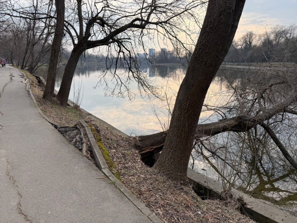 Parcul Regele Mihai I