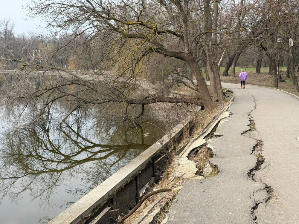 Parcul Regele Mihai I