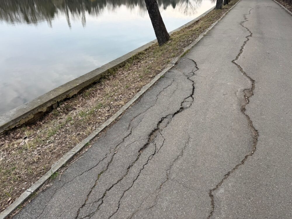 Parcul Regele Mihai I