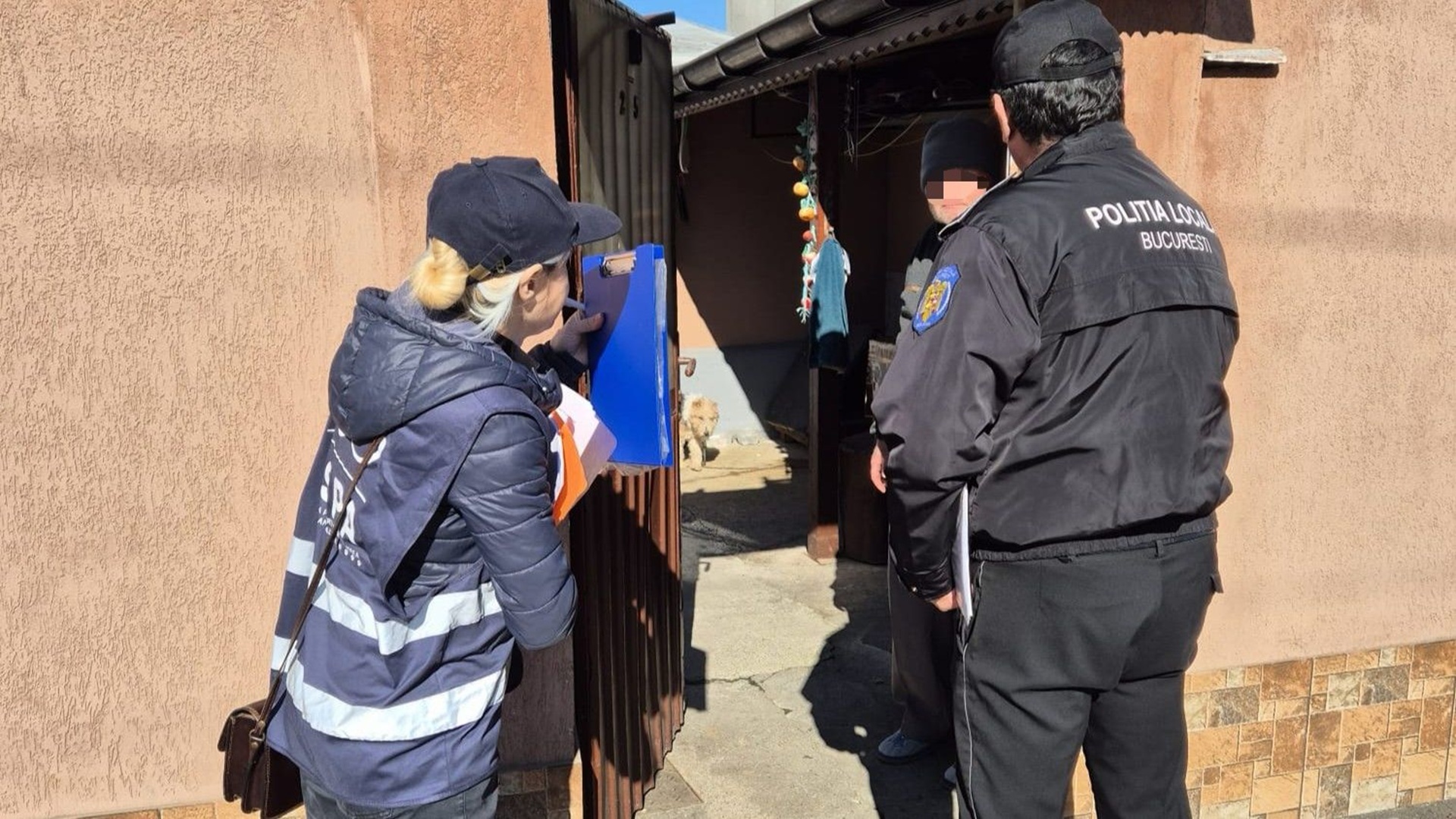 Sterilizări și microcipari pentru câinii din curțile Sectorului 5. Proprietarii au primit notificări