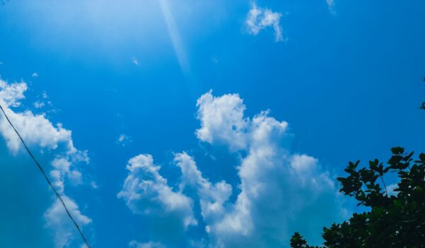 Vremea caldă în București