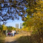 Idei de activități pentru Săptămâna Verde