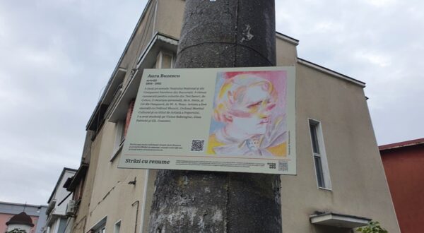 Femeile din București, unda cota de gen din consilii este mult sub media europeană, lipsesc din nomenclatorul stradal și cel al școlilor