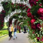 Când are loc West Side Flower Fest 2026. Tema ediție este „Origini – Grădina Regiunilor și a Meșteșugarului”