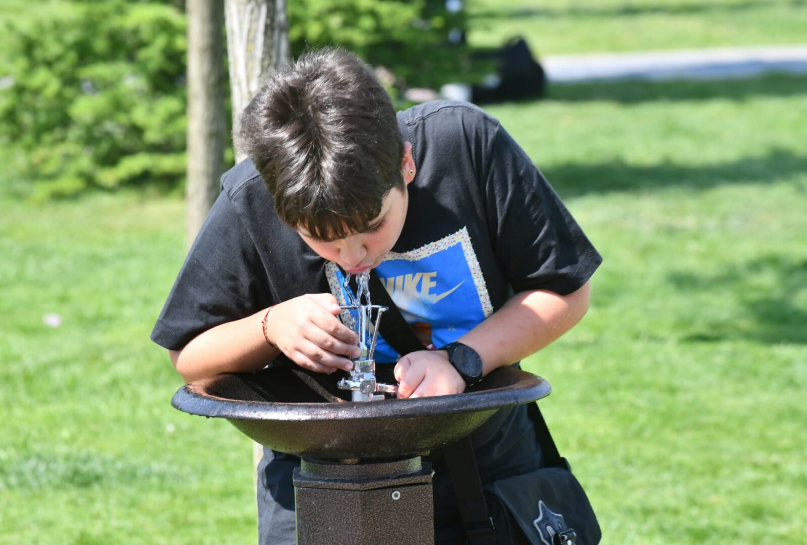 O firmă cu un singur angajat, specializată, până de curând, în „producție video”, a primit peste 80.000 de euro pentru mentenanța cișmelelor din Sectorul 6