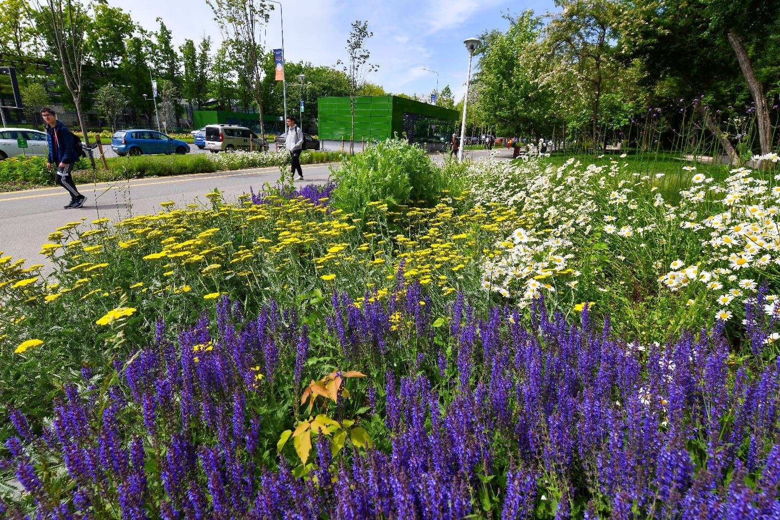 Asociațiile de proprietari din Sectorul 2 pot beneficia de sprijin pentru refacerea spațiilor verzi din jurul blocurilor | FOTO: ilustrativ, Arhiva