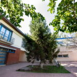 Căsuțe de tip familial desființate în Sectorul 6. Autoritățile propun extinderea adăpostului de noapte și a centrelor de zi. Foto: DGASPC Sector 6