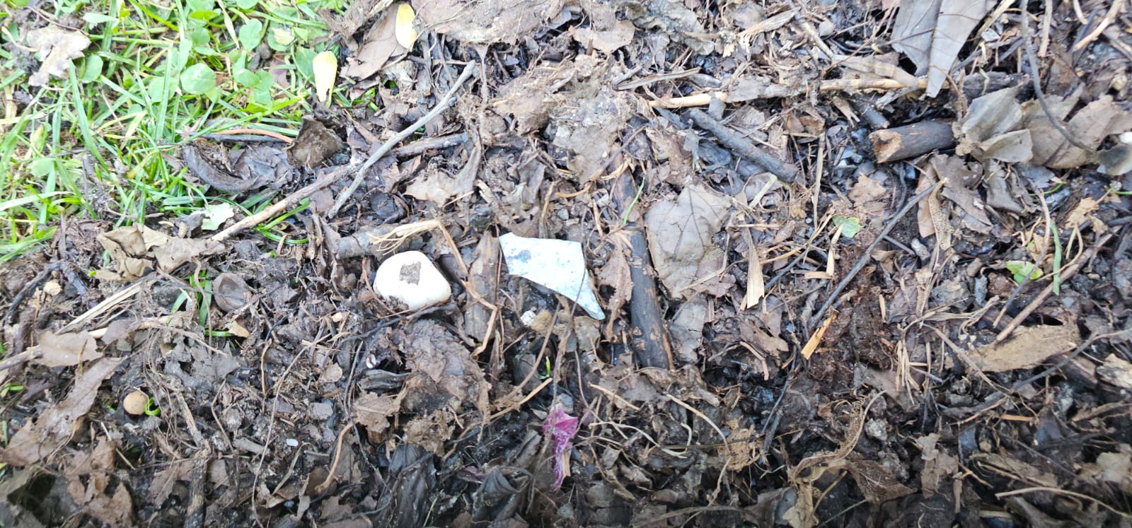 Compost gratuit cu deșeuri, distribuit de Primăria Sectorului 3. Foto: FB/ Bogdan Romanescu