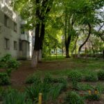 Grădini comunitare între blocuri. Proiectul de parteneriat între Primăria Sectorului 2 și asociațiile de proprietari, în dezbatere publică/ FOTO: PS2