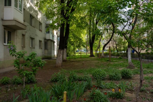 Grădini comunitare între blocuri. Proiectul de parteneriat între Primăria Sectorului 2 și asociațiile de proprietari, în dezbatere publică/ FOTO: PS2